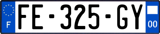 FE-325-GY