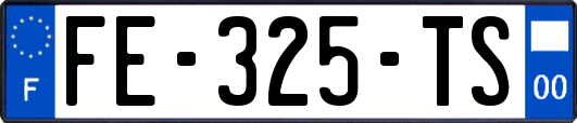 FE-325-TS