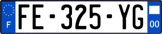 FE-325-YG