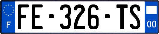 FE-326-TS