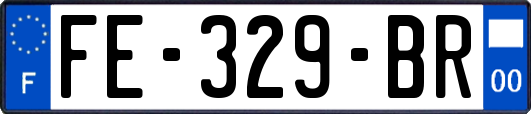 FE-329-BR