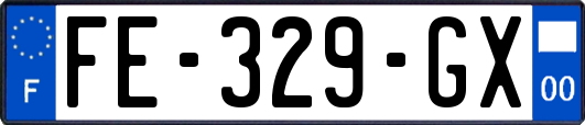 FE-329-GX
