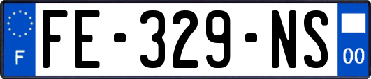 FE-329-NS