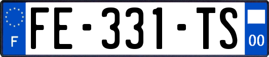 FE-331-TS