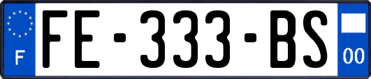 FE-333-BS