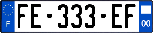FE-333-EF