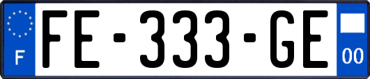 FE-333-GE