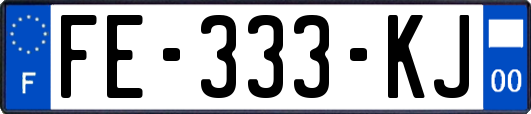 FE-333-KJ