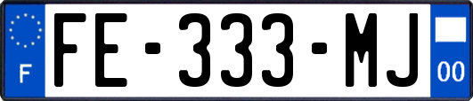FE-333-MJ