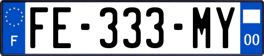 FE-333-MY