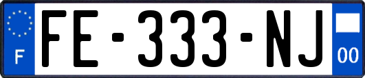 FE-333-NJ