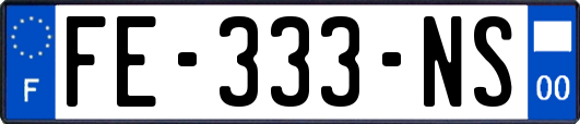 FE-333-NS