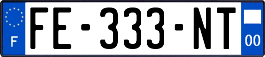 FE-333-NT