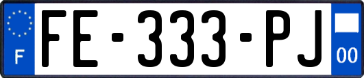FE-333-PJ