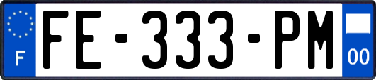 FE-333-PM