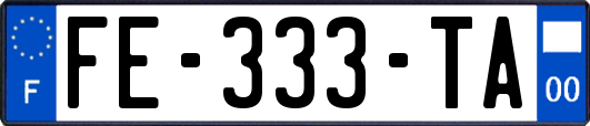 FE-333-TA