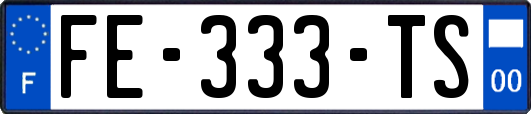FE-333-TS