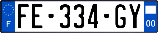 FE-334-GY