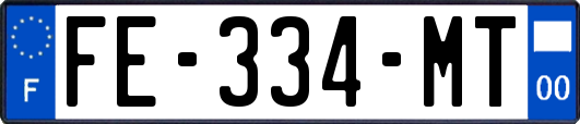 FE-334-MT