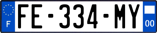 FE-334-MY