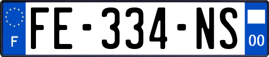 FE-334-NS