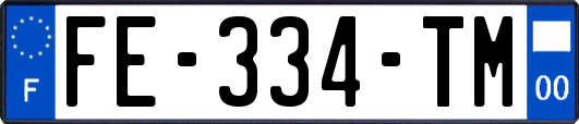 FE-334-TM
