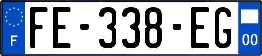 FE-338-EG