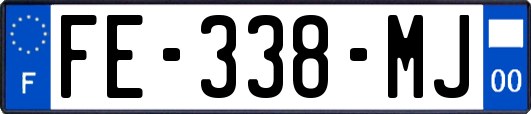 FE-338-MJ