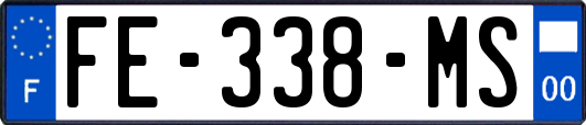 FE-338-MS