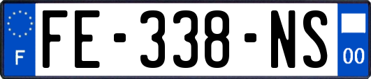 FE-338-NS