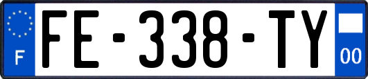 FE-338-TY