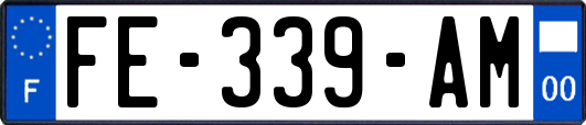 FE-339-AM