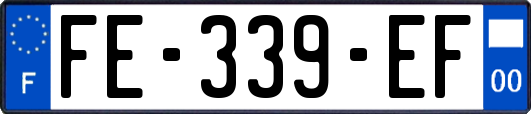 FE-339-EF