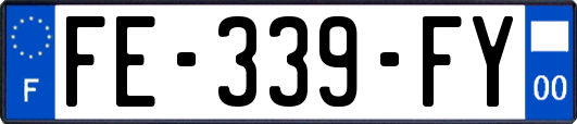 FE-339-FY