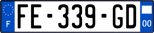 FE-339-GD