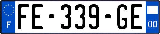 FE-339-GE
