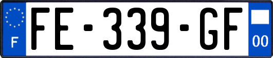 FE-339-GF