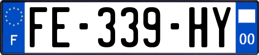 FE-339-HY