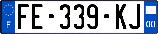 FE-339-KJ