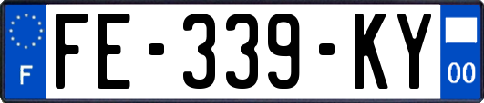 FE-339-KY