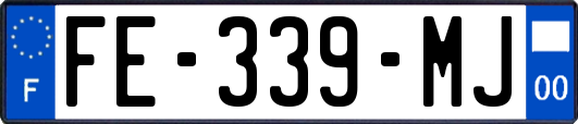 FE-339-MJ