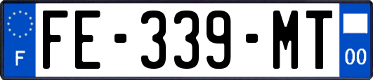 FE-339-MT