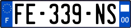 FE-339-NS