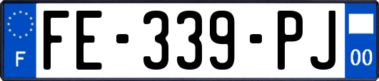 FE-339-PJ