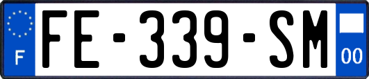 FE-339-SM