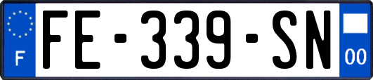 FE-339-SN