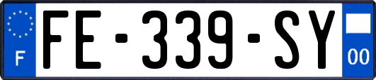 FE-339-SY