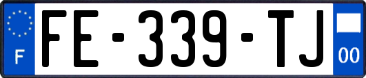 FE-339-TJ
