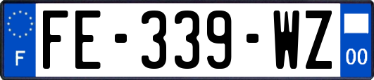 FE-339-WZ