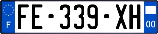 FE-339-XH